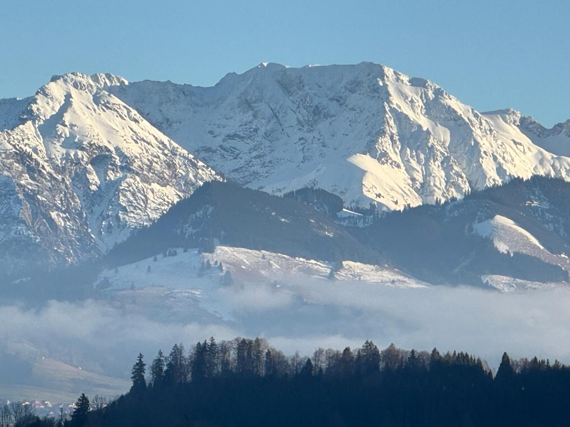 Apartment Bergblick-lounge Zentral In Immenstadt Immenstadt im Allgaeu