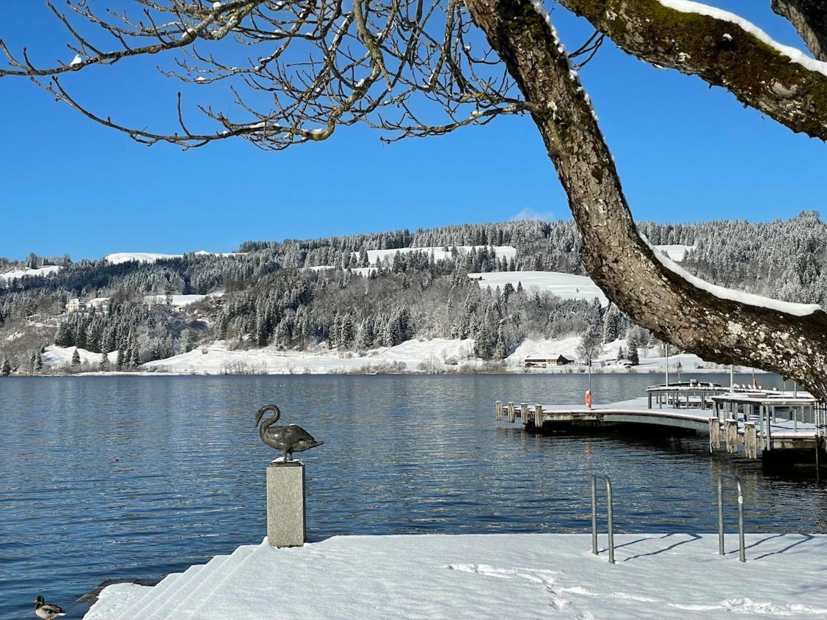 Bergblick-lounge Zentral In Immenstadt Apartament Immenstadt im Allgäu